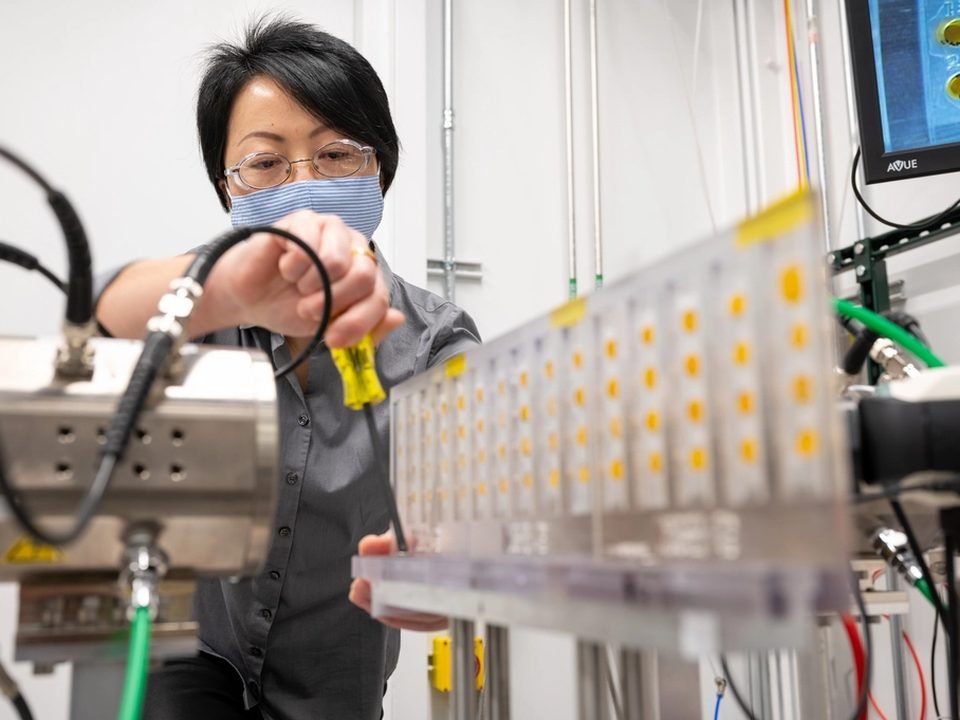 Lab technician handling sample plates