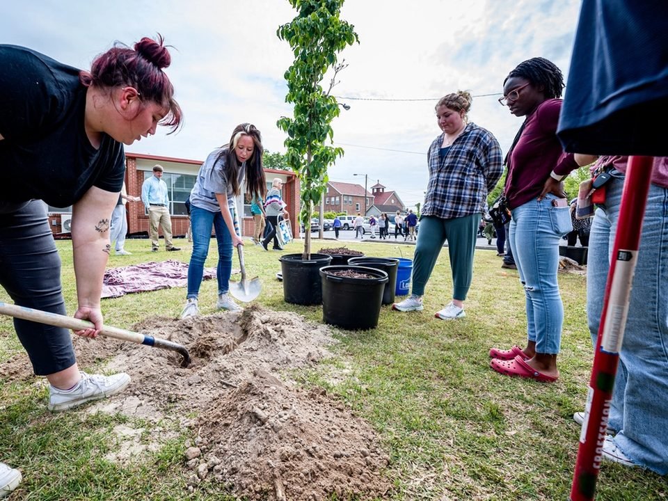 Volunteers planting a tree together
