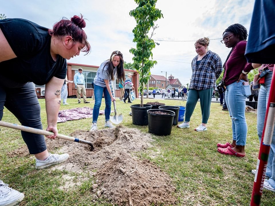 Volunteer programs